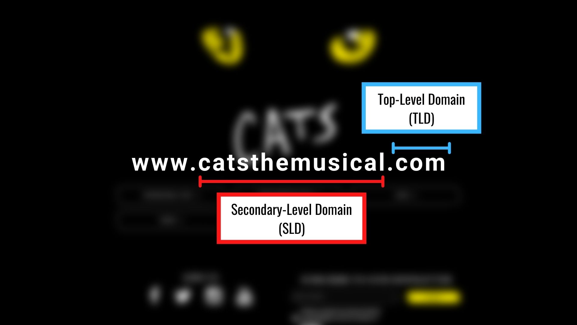 Secondary-level domain typically refers to your name, while top-level domain refers to the very end of your URL link